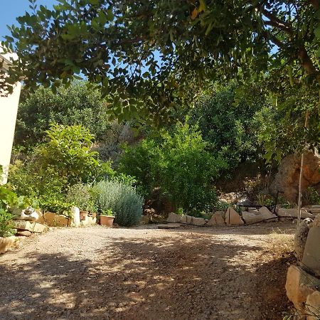 Villa Ikarus Triopetra Exterior foto